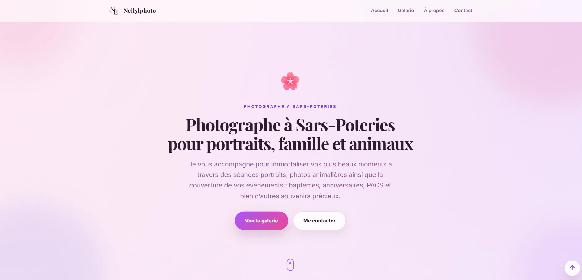 Page d’accueil du site Nellylphoto, photographe à Sars-Poteries